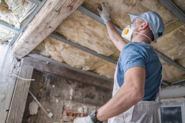 Best Insulation Materials and Products in Melcher Dallas, IA